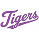 TIG2 VIG.png
