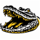 GATORS BRA.png
