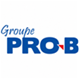 PRO BRA.png