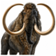 MAMOUTH BRA.png