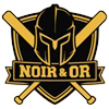 NOIR & OR.png